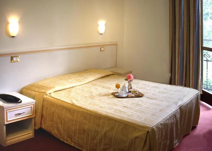 Hotel Adler 3*