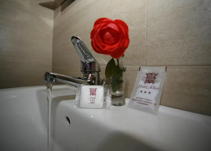 Hotel Adler 3*